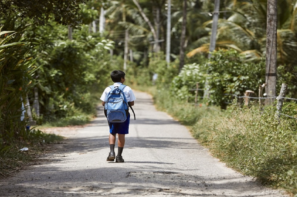 Schoolboy in uniform is walking to school. Rear view boy with backpack on rural road in Sri Lanka."n